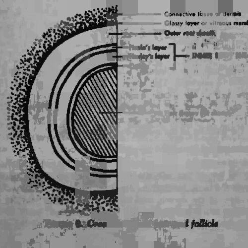 Before and after care